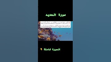 #تلاوات #تلاوة_خاشعة  #تلاوة_هادئة #qurankareem #اكسبلور #قران_كريم #تيك_توك