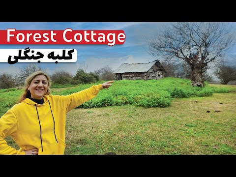            کلبه جنگلی وسط جنگل های هیرکانی