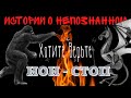 Истории о Непознанном: НОН СТОП от Хотите Верьте 20.07.2022 .