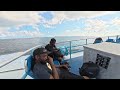 going to work/ east end BVI