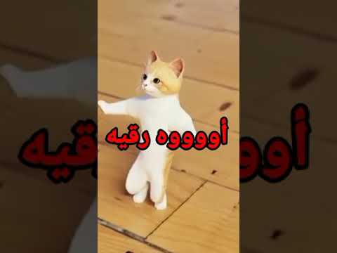 اغنية اسم رقية رقيه روكا القمر عيد ميلاد رقيه بالتعليق المثبت سطلانة السعودية الامارات تركيا العراق  اغنية اسم رقية رقيه روكا القمر عيد ميلاد رقيه بالتعليق المثبت سطلانة السعودية الامارات تركيا العراق