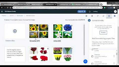 Análisis de imágenes IBM Watson Visual Recognition