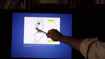 Psych 650 Diathesis-Stress Model and Depression.mts