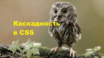 8. Каскад в CSS