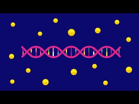 Video: Komponenten des weiblichen Glücks