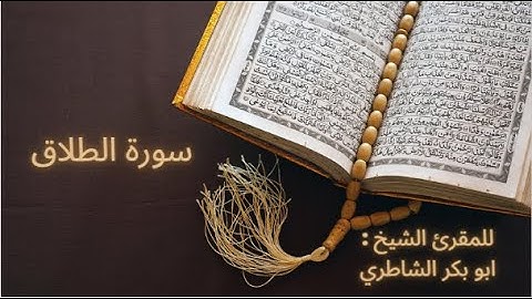 سورة الطلاق للمقرئ الشيخ : أبو بكر الشاطري