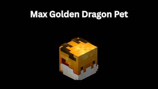 Max Golden Dragon Pet (Hypixel Skyblock)