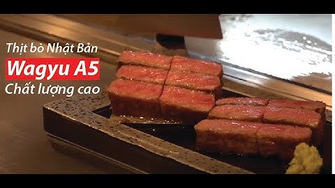 Wagyu A5 - Loại thịt bò có vân cực đẹp, chất lượng cao của Nhật Bản