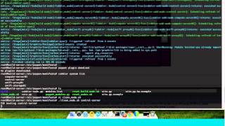 Cisco Openstack Install