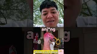 Reza Arap YB Kaget! Ayam Acu Makin Besar 🤣🐔🔥