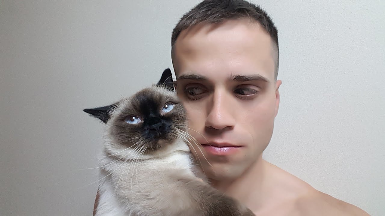 Чем КОРМИТЬ КОТА, что бы не СДОХ | И НЕ БОЛЕЛ.