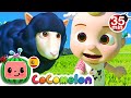 CoComelon en Español | Ovejita Negra | Compilación de Canciones Infantiles