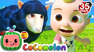 CoComelon en Español | Ovejita Negra | Compilación de Canciones Infantiles