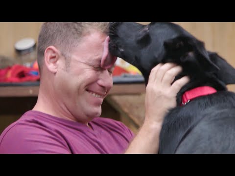 Videó: A szerencsés kutya a tenyésztésből elrettentett