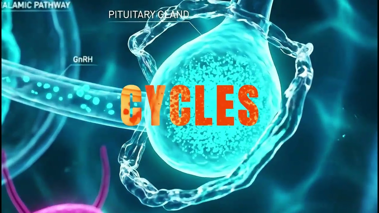 Your sperm doesn’t live forever—but it doesnt rot either