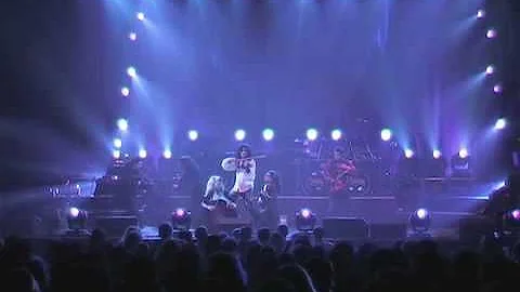 Mark Wood Live - Nest of Vipers  - Dee Snider's Va...
