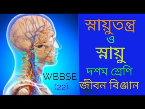 স্নায়ুতন্ত্র ও স্নায়ু//দশম শ্রেণি, জীবন বিজ্ঞান //Nervous system and nerve//Class- x,Life science.