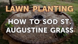 How to sod st. augustine grass