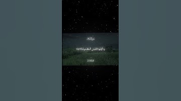 سورة الفجر|24-30|القارئ:#محمد_اللحيدان #قران #quran #راحة_نفسية #قران_كريم #تلاوة_هادئة #تلاوة_خاشعة