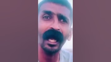 Meow hate waiting, so he sleeps #callofdutymobile #codmobile #codm