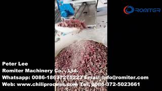 Automatic Dry Chili Pepper Dust Cleaning Machine