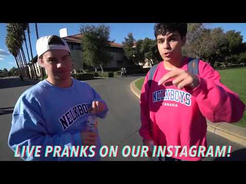 Nelk Fake Google Employee Prank Nelk Reupload Youtube