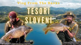 Vlog From The Banks n.13°  TESORI SLOVENI! Carpfishing in Slovenia 2024, Big Carp!