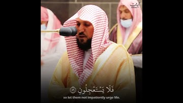 وما خلقت الجن والإنس إلا ليعبدون ماهر المعيقلي تلاوة خاشعة