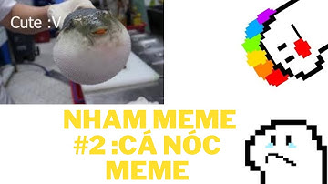 Nhảm meme #2: khi cá nóc lên thớt !!! (cute :v)