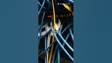 SOA vs Monolith: The AI Architecture Battle