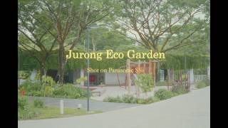 A Hidden Gem in Singapore (Shot on S5ii)