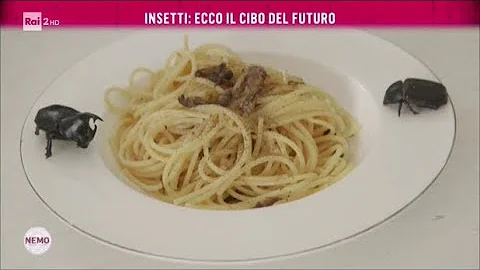 Dove acquistare insetti da mangiare?