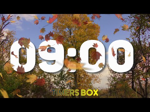 9 Minute Timer of Silent Autumn Fall Beauty 🍁 Relaxation Countdown