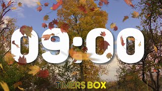 9 Minute Timer of Silent Autumn Fall Beauty 🍁 Relaxation Countdown Profile