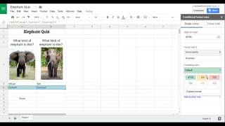 Spreadsheet Quiz 1 3 Conditional Formatting