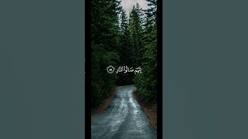 سورة ص للقارئ ريان المحيسني 🤍