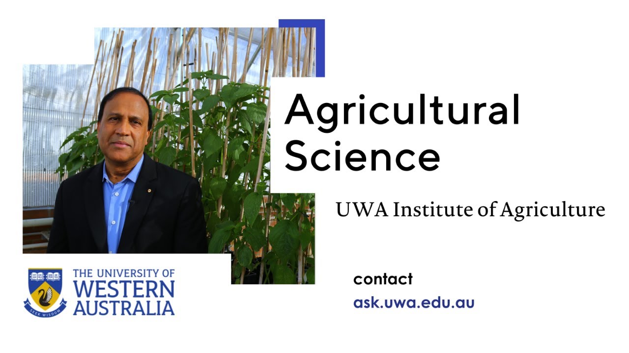 Why agriculture is the 