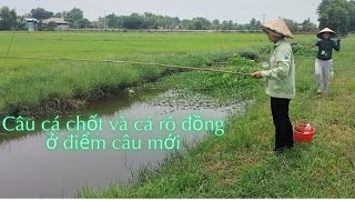 1 buổi chiều câu cá chốt và cá rô đồng ở điểm câu mới - Trãi Nghiệm TV