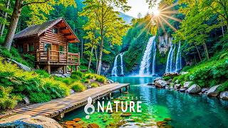 Tranquil Nature Sounds 🍃Quiet The Mind And Ease Anxiety, Relaxing Piano With Gentle Forest Rain #103