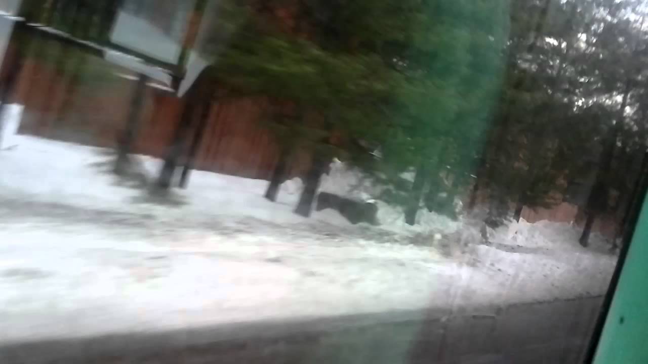 [Poistettu] Helsingin Bussiliikenne #9713 Volvo B10L Carrus City U