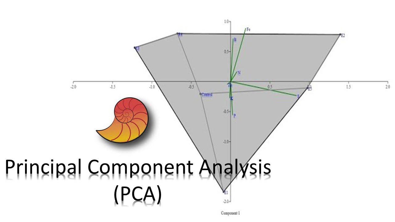 Principal Component Analysis (PCA) in Past - YouTube