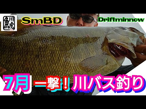 バス釣り hqdefault.jpg