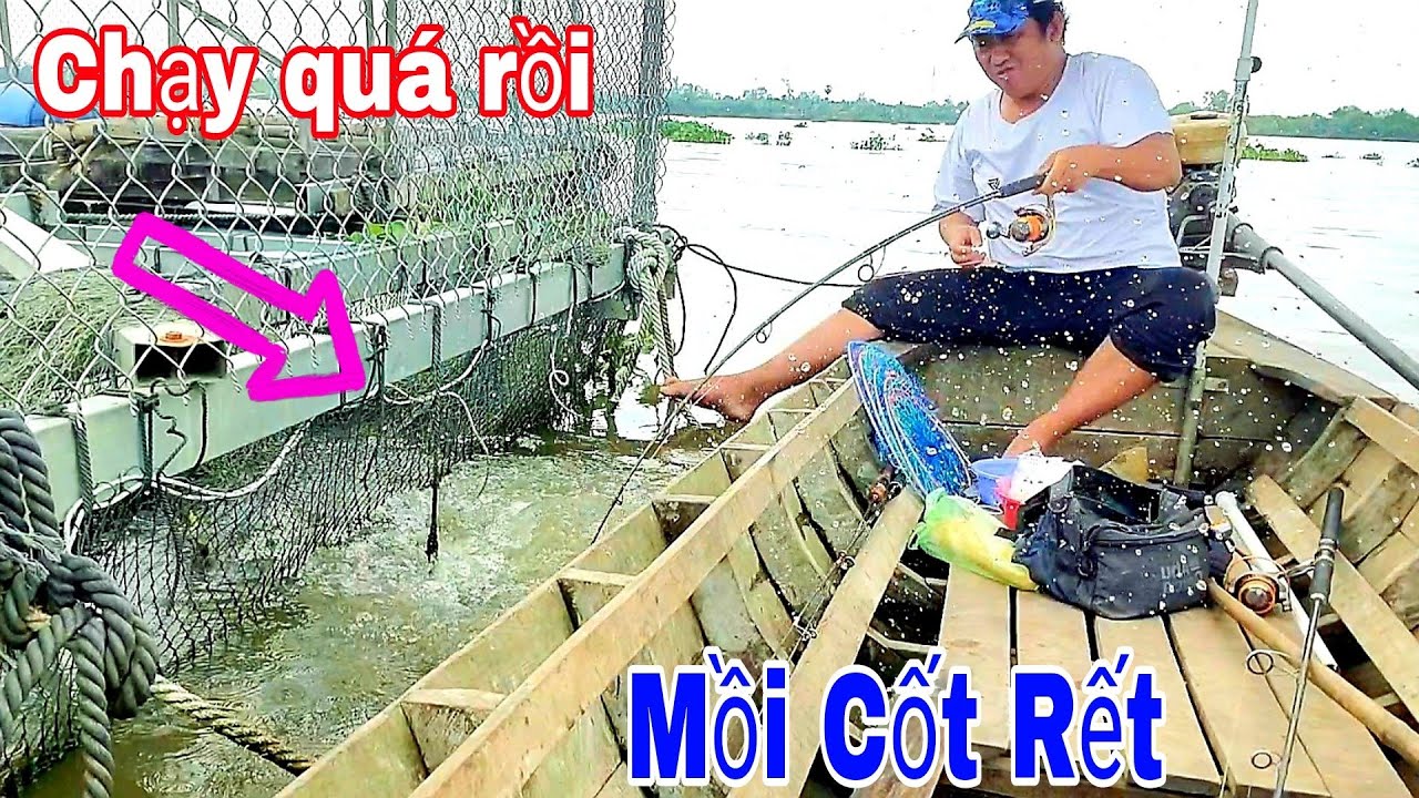 Cá Tra Bự Rồi, Câu Cá Tra sông tiền, Bằng mồi Cốt rết Dính cá phát mê