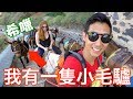 我有一隻小毛驢，在聖托里尼騎～🎶【劉沛 VLOG】