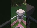 Minecraft House for my Dog 🥺🐶