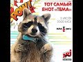 Енот Тёма кушает поп корн и смотрит футбол