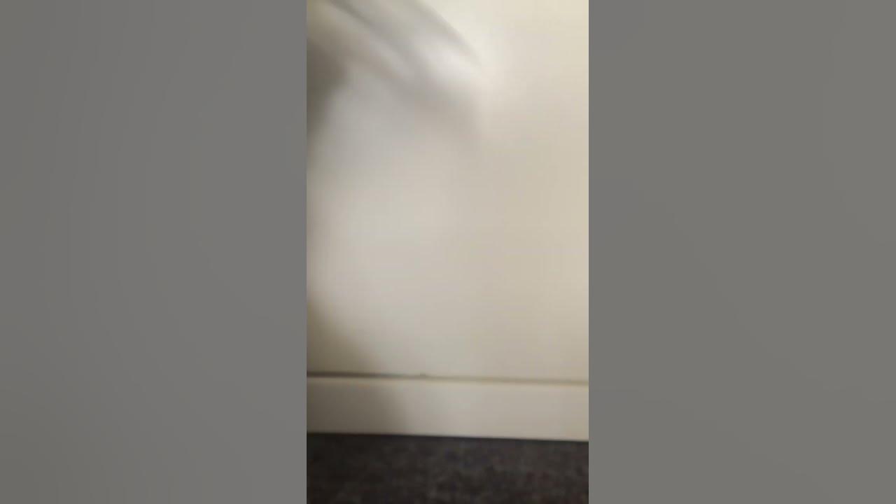 Hello is anybody home youtube