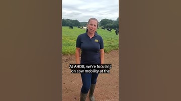 Enhance your herd’s mobility! 🐄  #dairyfarm #dairy