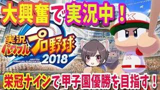 【パワプロ2018】#2転生OB佐々岡、山崎GET！弱小から強豪校春の甲子園出場！！栄冠