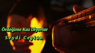 Ördeğime Kaz Diyorlar - Seydi Ceylan (Elektro Bağlama 2023)